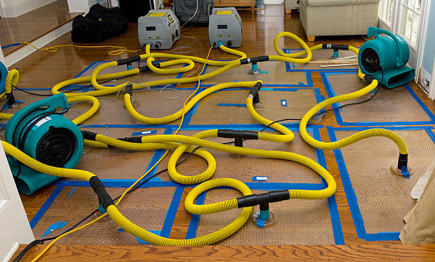 Professional Crawl Space Water Removal technician working in Bowie, AZ